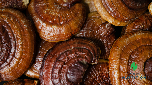 Does Reishi work and how does it really work?
