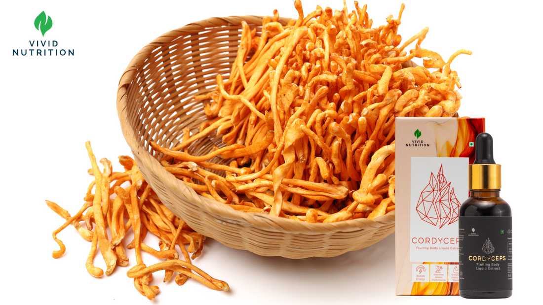 Can Cordyceps help with Kidney issues?