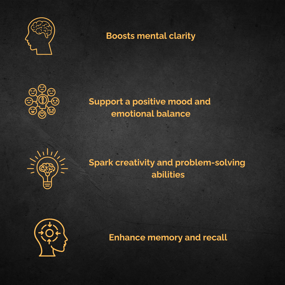 Box Set | Lion's mane | Cordyceps | Reishi | 100% Pure liquid extracts | Focus, Energy and Relaxation