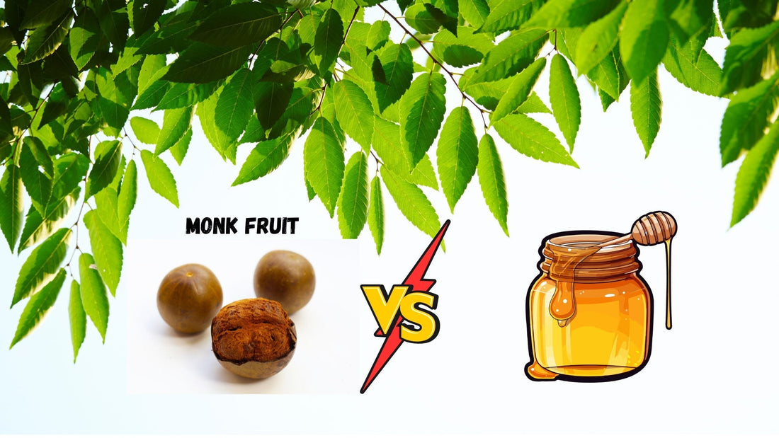 Monk Fruit Powder vs Honey: Why More People Are Choosing Monk Fruit Powder